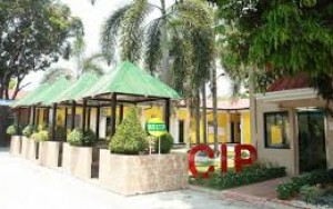 Giới thiệu trường Anh ngữ CIP