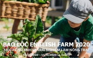 TRẠI HÈ TIẾNG ANH 